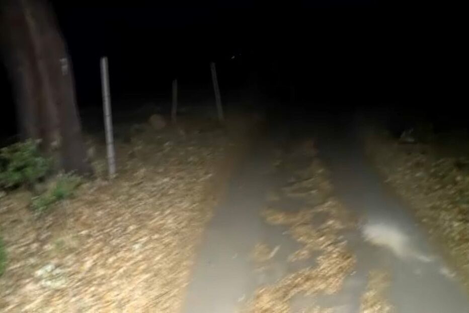 Encontrada peça de roupa durante buscas por Noah em Proença-a-Velha