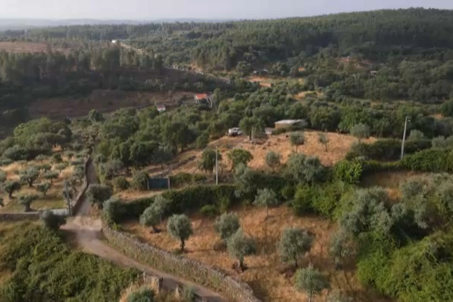 Imagens de drone mostram distância entre local onde desapareceu Noah e pegadas foram encontradas