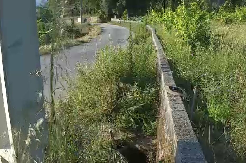 Detido homem que atirou mulher para ravina durante encontro amoroso em Ponte de Lima