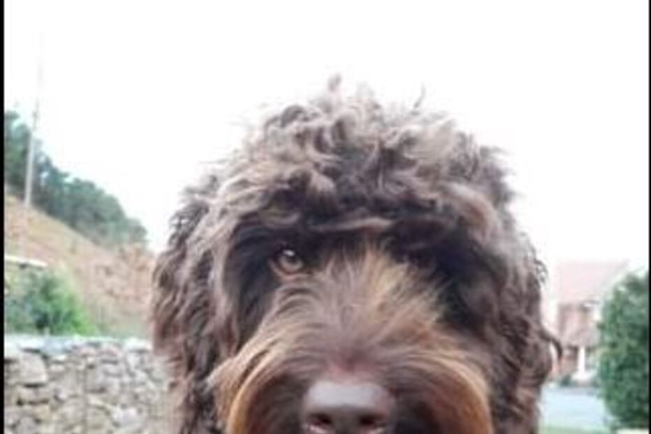 2021-06-19_14_37_43 Digby.JPG