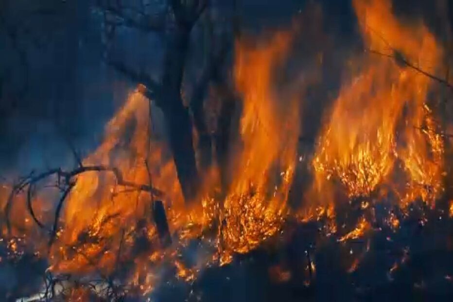 Incêndios, área ardida, fogo, fogos florestais
