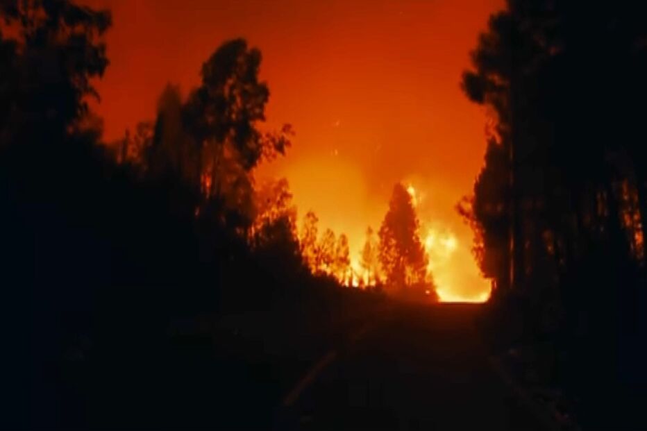 Incêndios, área ardida, fogo, fogos florestais