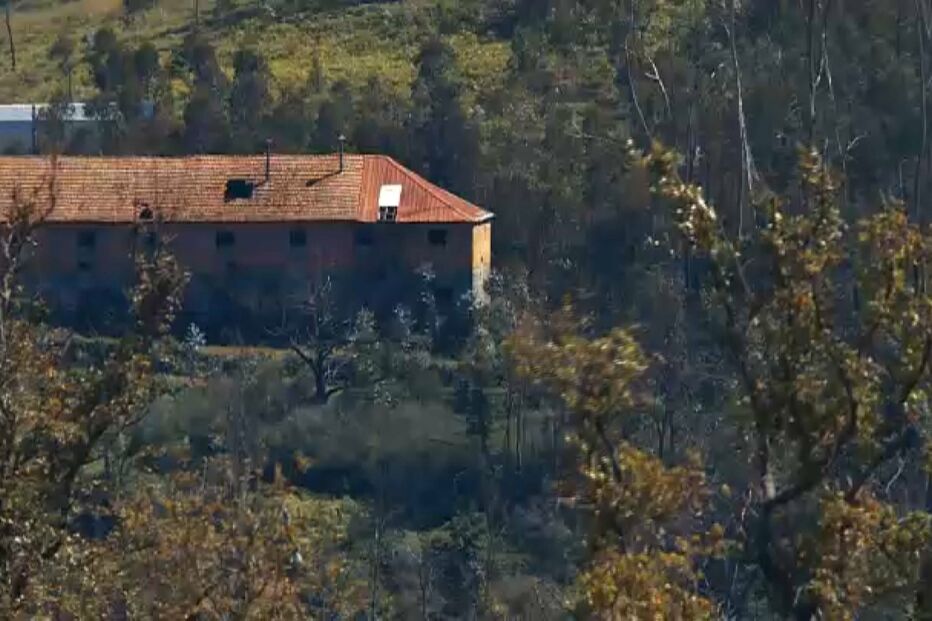 Incêndios, área ardida, fogo, fogos florestais