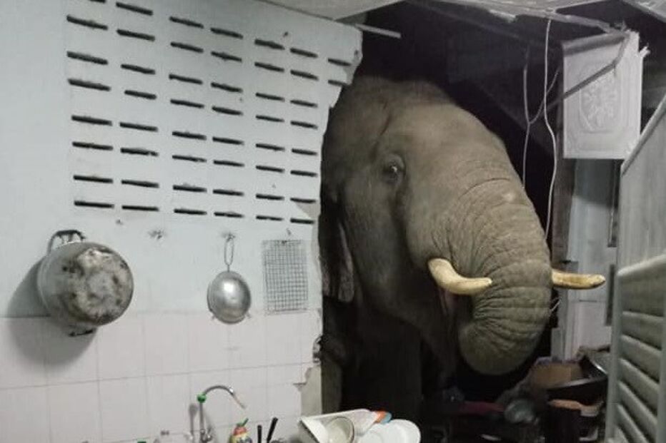 Fotografias do momento foram partilhadas nas redes sociais