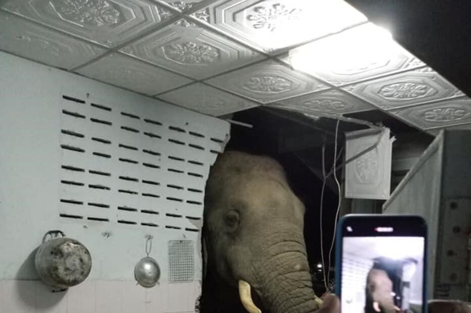 Fotografias do momento foram partilhadas nas redes sociais