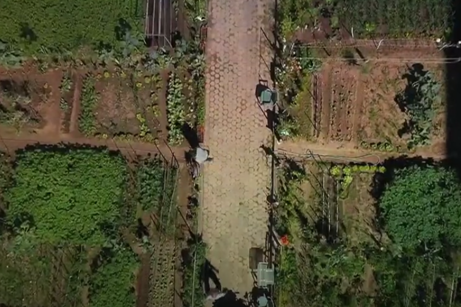 2021-06-22_17_01_14 bairo 3.png