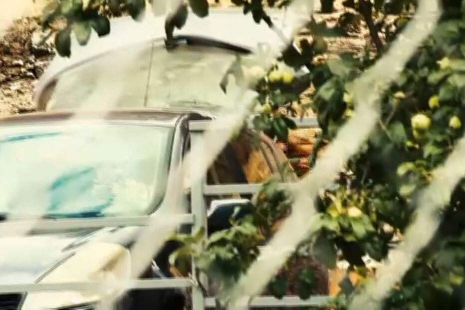 2021-06-22_21_10_03 NOAH.jpg