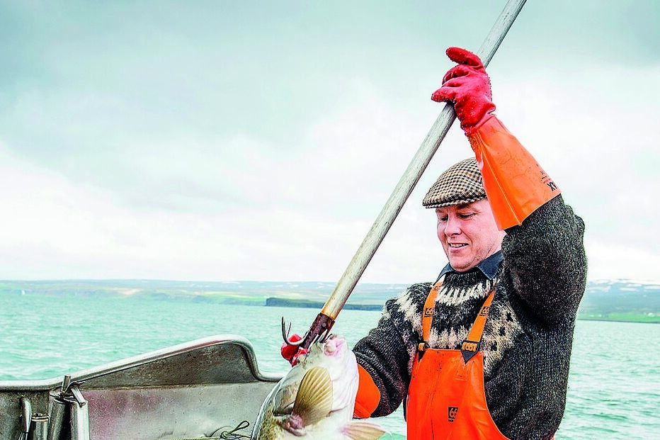 Setor da pesca terá se adaptar, com custos consideráveis, alerta o estudo