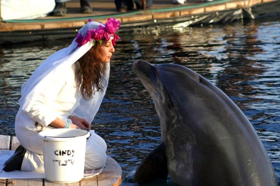 Sharon casou com um golfinho