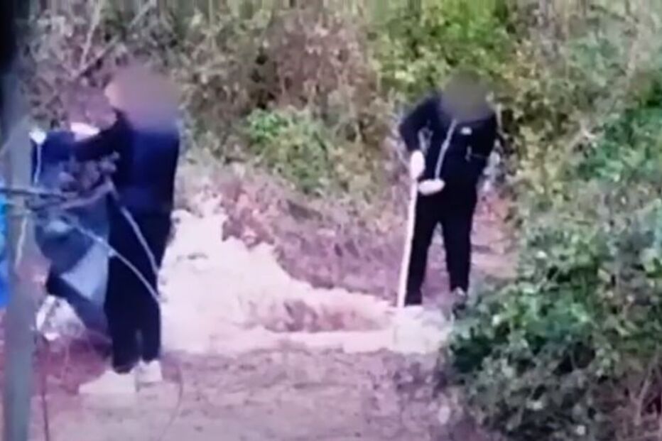 2021-06-25_16_49_13 cavar.JPG