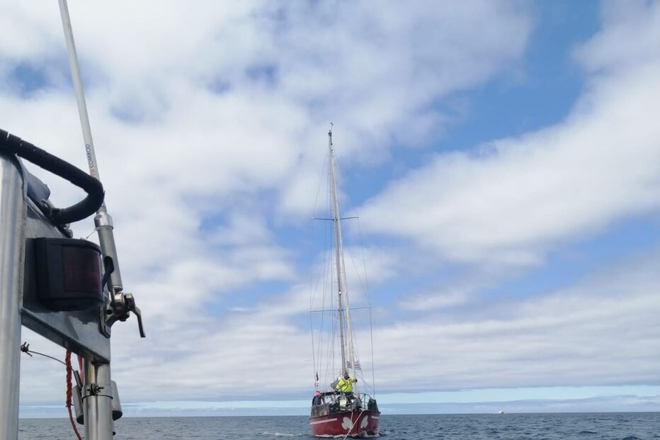 Orcas deixam veleiro sem leme em Sesimbra