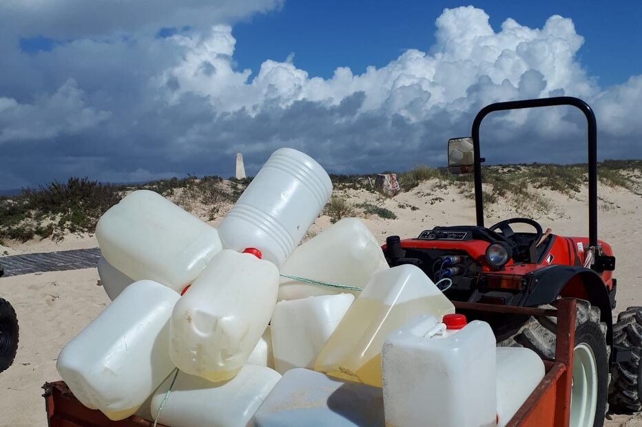 jarricãs, droga, costa algarvia