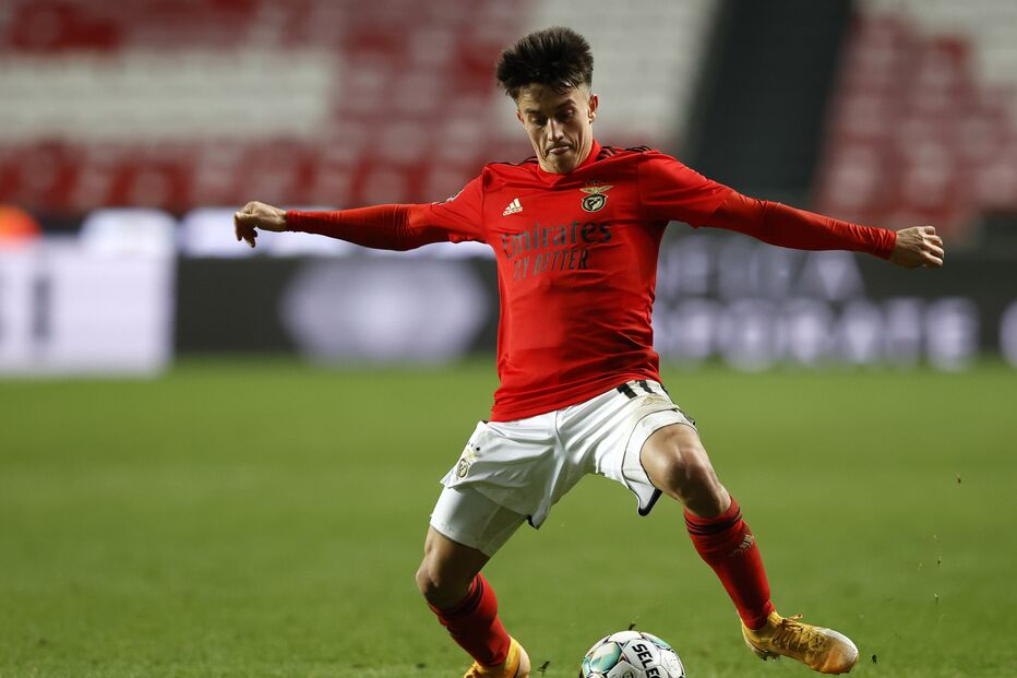 Cervi vai render cinco milhões de euros aos cofres do Benfica