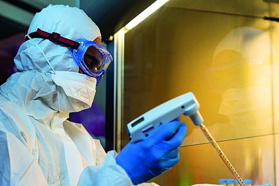 Dados da 1ª fase da investigação de cientistas da Nova são positivos