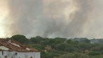 Incêndio em Portalegre mobilizou cinco meios aéreos e mais de 100 bombeiros
