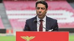 Sucesso da emissão da Benfica SAD mostra 'confiança' dos investidores, sublinha Rui Costa