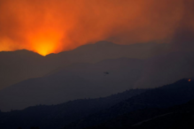 Violento incêndio obriga Chipre a pedir ajuda à União Europeia e Israel