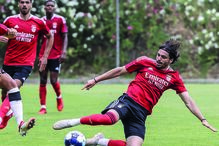 Krovinovic perdeu qualquer hipótese de ficar na Luz, devido à sua indisciplina, e vai ser vendido  