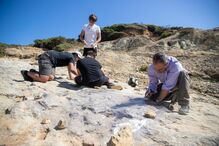 Investigador admite que pode haver ovos de dinossauro no Cabo Espichel 
