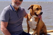 Pai de Diogo Valsassina