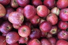 2021-07-27_19_09_17 img_4370_optimized.jpg