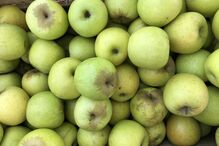 2021-07-27_19_09_20 img_4371_optimized.jpg