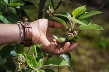 2021-07-27_19_15_05 DSC06470.jpg