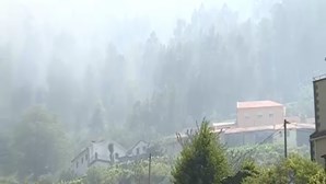 GNR deteve mulher por fogo florestal em Vila Real