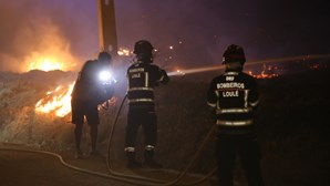 Em Portimão e Monchique contam-se prejuízos com dois mil hectares ardidos nos fogos do fim de semana