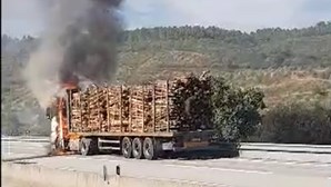 Incêndio consome camião com madeiras na A23, entre o Fundão e a Covilhã