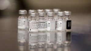 Agência do Medicamento avalia administração de vacina da Pfizer a crianças entre 5 e 11 anos
