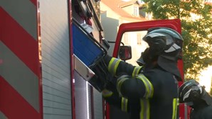 Incêndio em Arouca mobiliza bombeiros desde sábado à noite