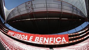 Benfica estádio