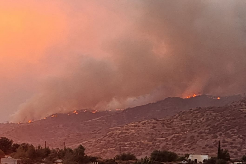 Violento incêndio obriga Chipre a pedir ajuda à União Europeia e Israel