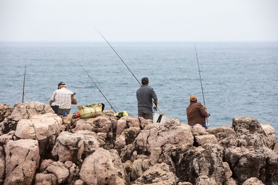 Imagem CARRAPATEIRA 8.JPG (10416992) (Milenium)