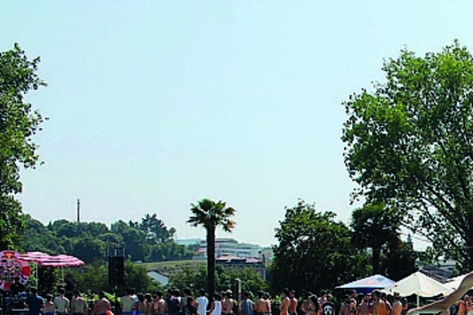 Imagem IMG_6017A.JPG (10437634) (Milenium)