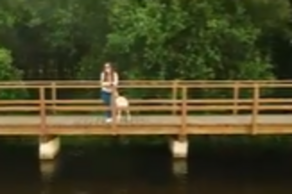 Advogado pede que menina retirada à força à mãe volte para casa no início das férias escolares