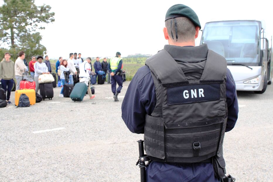 Imagem _MG_2027.JPG (10441667) (Milenium)