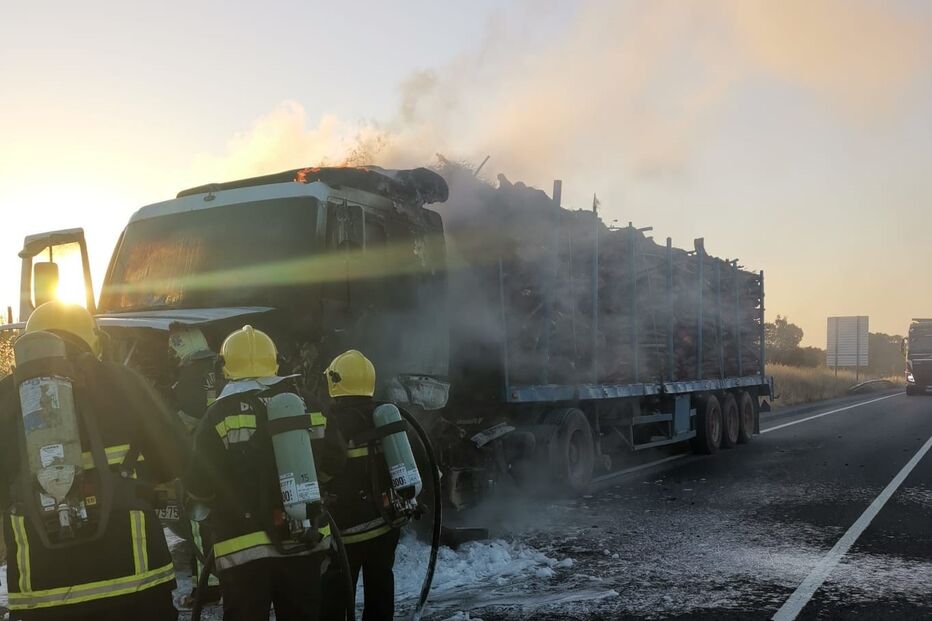 Camião carregado de madeira arde no IC1 em Grândola