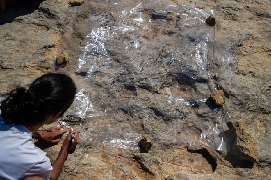 Investigador admite que pode haver ovos de dinossauro no Cabo Espichel 