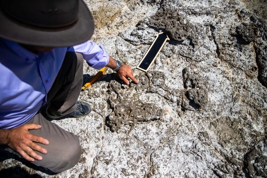 Pegadas de crocodilo com 129 milhões de anos descobertas no Cabo Espichel 