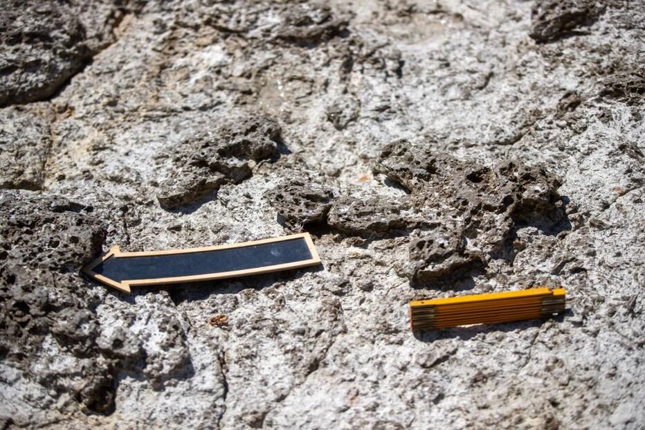 Pegadas de crocodilo com 129 milhões de anos descobertas no Cabo Espichel 