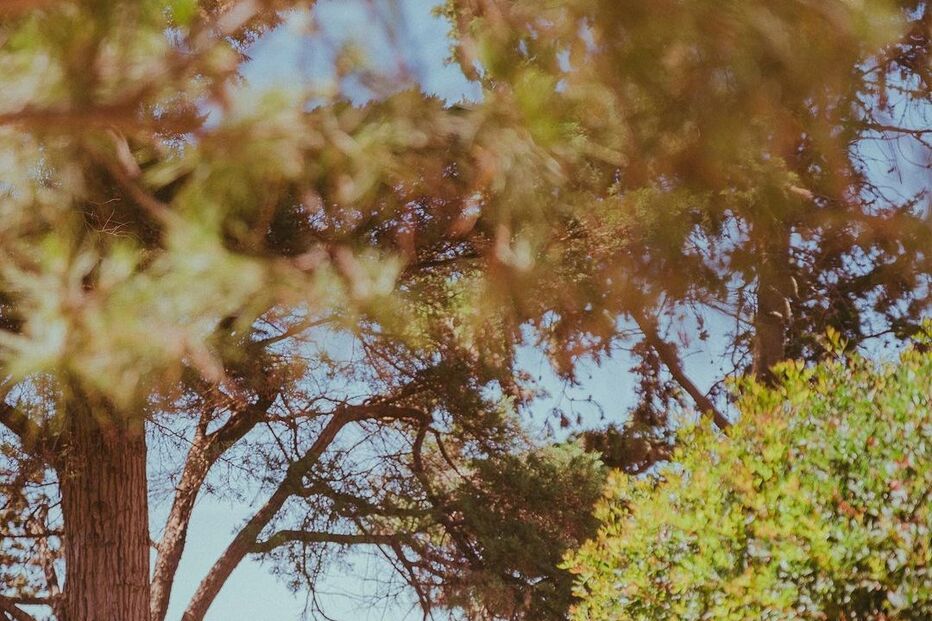 Sara Salgado e Diogo Pereira Coutinho