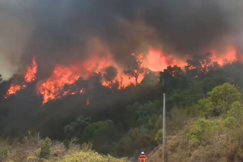Violento incêndio consome zona de floresta em Monchique