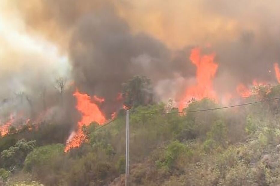 Chamas em Monchique ameaçam habitações e obrigam a retirar pessoas de casa