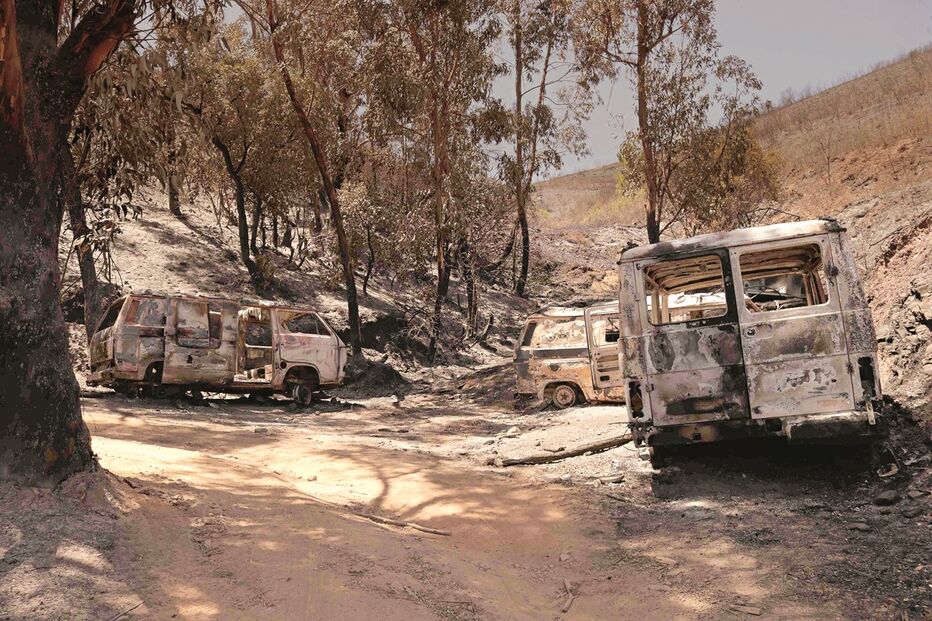 Suspeitas de fogo posto em grande incêndio na Sertã