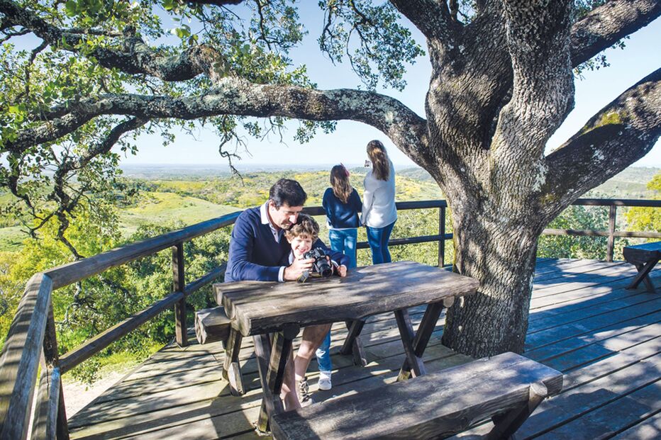 2021-07-24_08_26_07 Pág. 4_Miradouro Senhora das Neves_tratada.jpg