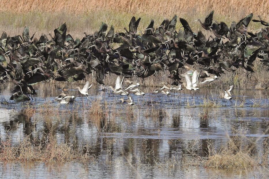 Imagem A2-18781867 (10662726).jpg (Milenium)