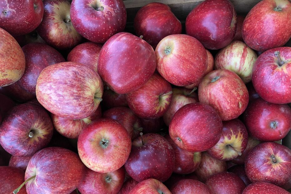 2021-07-27_19_09_17 img_4370_optimized.jpg