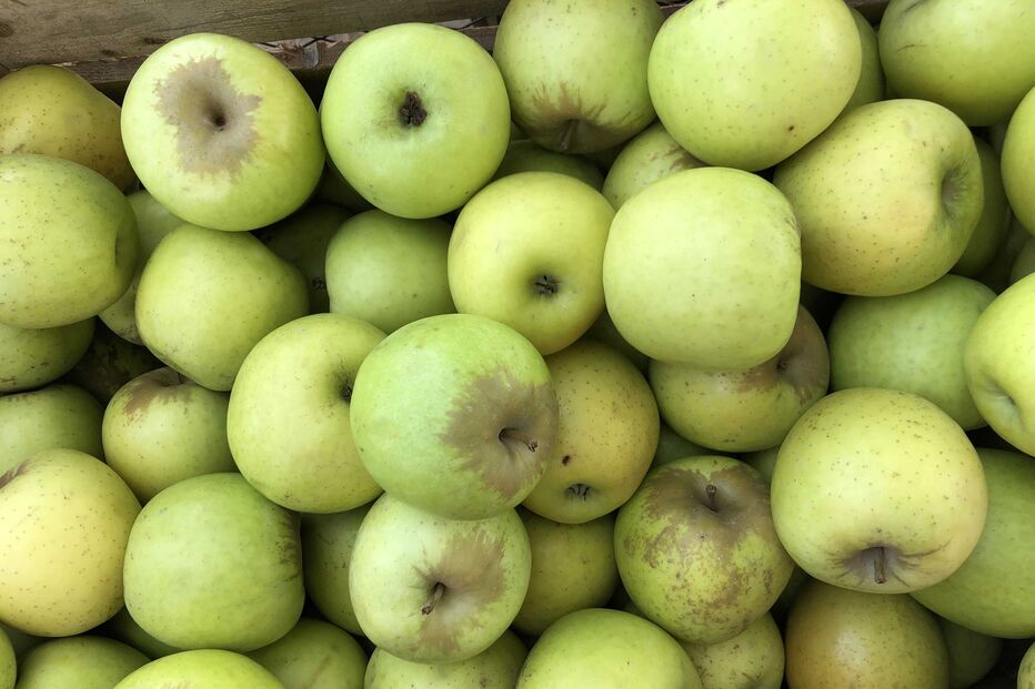 2021-07-27_19_09_20 img_4371_optimized.jpg